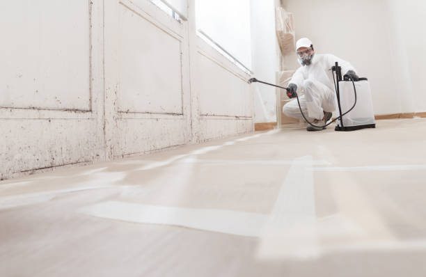 24/7 Emergency Mold Remediation experts in Alpine, TX